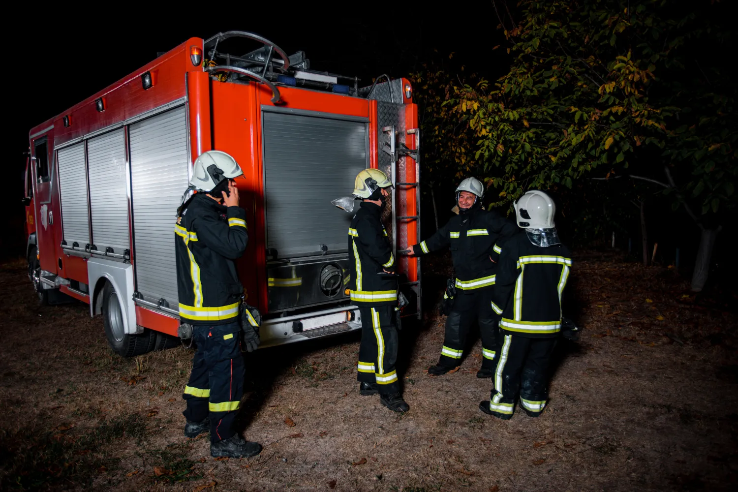 Fire brigade with fire engine