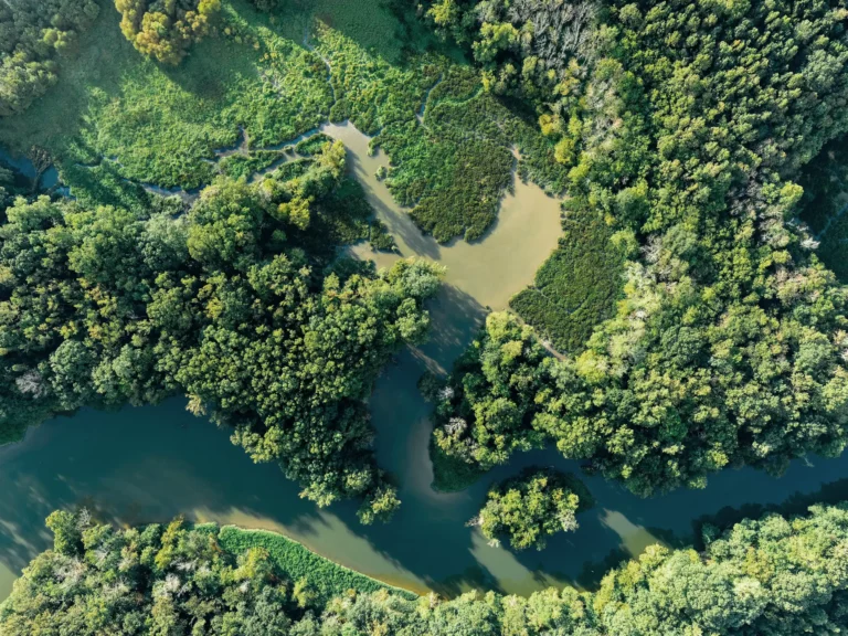 Aerial view of a green landscape symbolizing Girbau’s environmental policy focused on water and energy efficiency, waste reduction, and sustainable innovation.