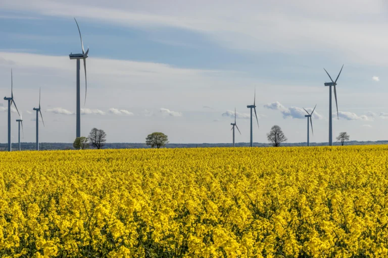 Wind Turbines provide energy and cost savings