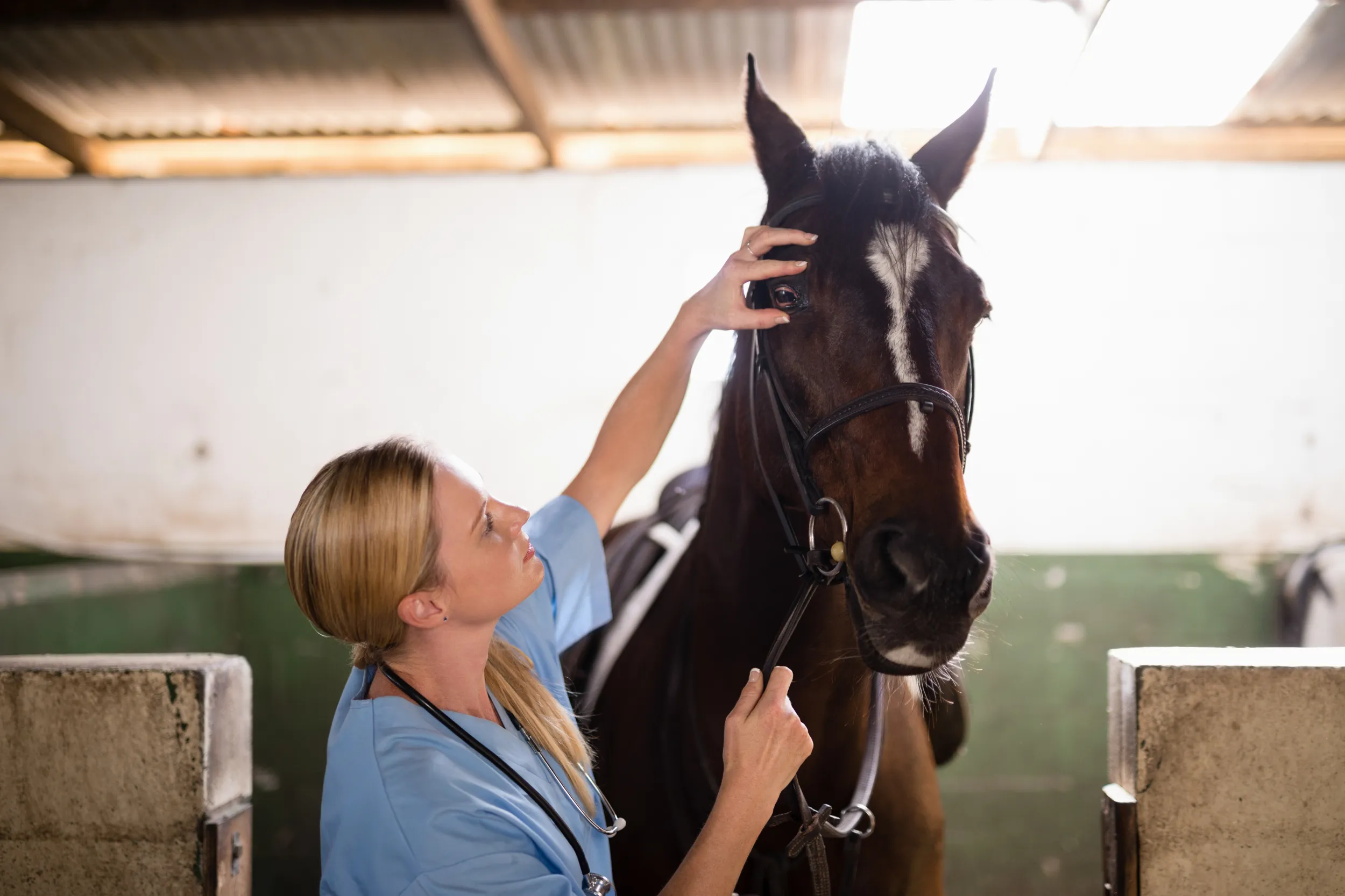 Veterinary-nurse-in-clean-uniform-performing-health-check-on-horse