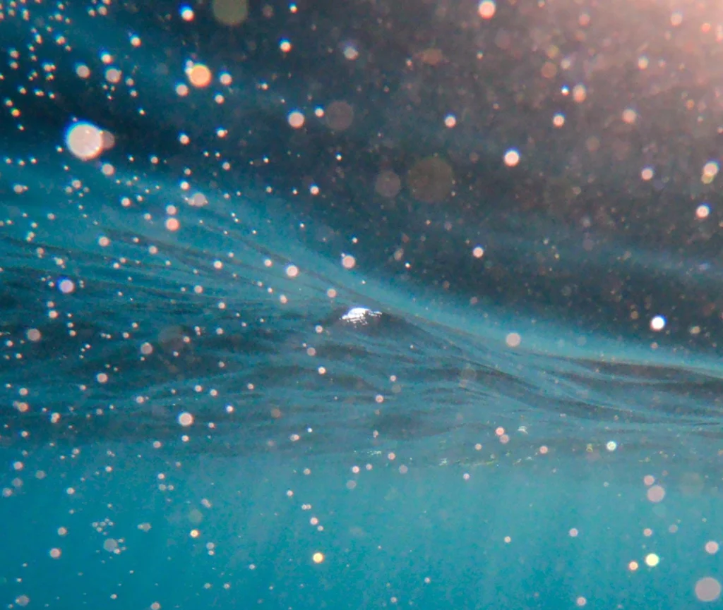 Microplastics in Professional Laundries: A Growing Challenge for the Industry