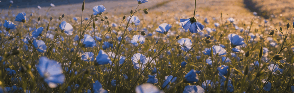What Makes a Laundry Operation More Sustainable?